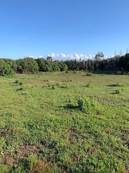 Сasa de vacaciones Finca Dos Vientos Tarifa España