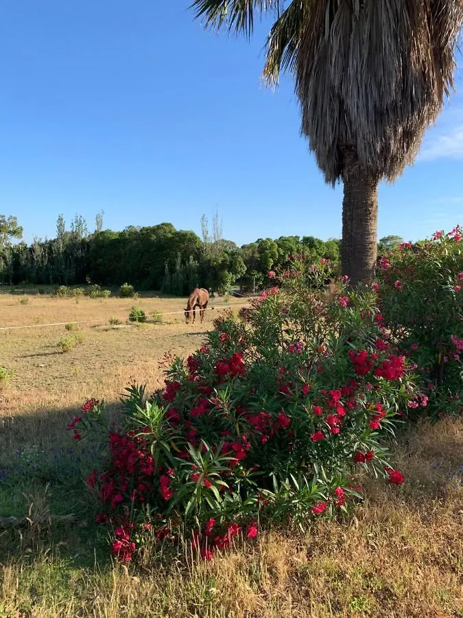 Finca Dos Vientos Tarifa 0*,  España